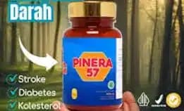 Obat Asam Urat 081333350331 Pinera 57 Original Atasi Kolesterol Diabetes Hipertensi Stroke