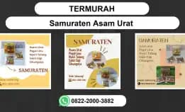 Termurah, 0822-2000-3882 Distributor Samuraten Asam Urat Manokwari