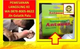 Obat Sakit Ngilu Seluruh Badan Di Kota Palu