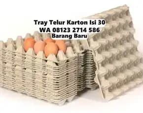 Pelindung Telor Kertas Diskon Hebat Selemadeg Barat Tabanan Bali (123)