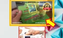 Wa: 0878-8005-8622 Obat Asam Urat Di Kota Palu