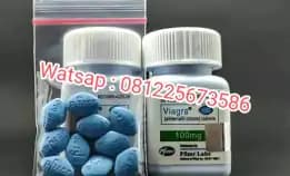 081225673586 Jual Toko Jual Viagra Usa Asli Di Gianyar Bali Cod Pusat Obat Kuat Pil Biru Original