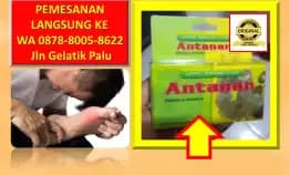 0878-8005-8622 Obat Kolesterol Yang Aman Untuk Ibu Hamil Di Kota Palu