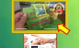 0878-8005-8622 Obat Asam Urat Harga Di Kota Palu