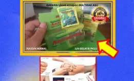 Wa: 0878-8005-8622 Obat Asam Urat Cepat Turun Di Kota Palu