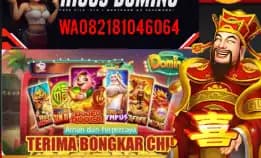 Chip Hdi Dan Royal Dream Terima Bongkar Hdi