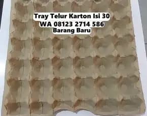 Baki Telur Karton Stok Aman Tabanan Tabanan Bali (105)