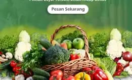 Rekomendasi Warung Sayur Malang: Menemukan Sayur Segar Dengan Kualitas Terbaik