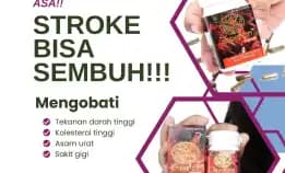 Sehat Maksimal 0856-4028-7456 Jual Obat Herbal Asam Urat Semarang Pt Dewa Obat