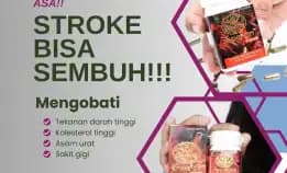 Obat Mujur 0856-4028-7456 Jual Obat Herbal Rheumatik Semarang Pt Dewa Obat