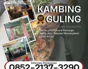 Enak! Kambing Guling | Sate Abg | Di Maleer Bandung