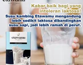 Susu Kambing Untuk Ibu Hamil Bangkalan,Viral Dan Murah, Pt. Etsa Bregas Makmur