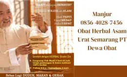 Fresh 0856-4028-7456 Obat Herbal Asam Urat Semarang Pt Dewa Obat