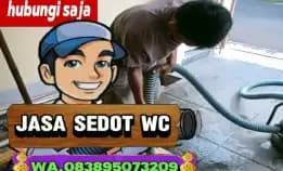 Purwokerto Sedot Wc