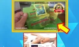 Obat Kolesterol Yang Aman Untuk Ginjal Di Kota Palu