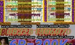 Link Khusus Bongkar Koin Wa 082281886070