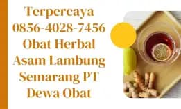 Asli 0856-4028-7456 Obat Herbal Asam Lambung Semarang Pt Dewa Obat