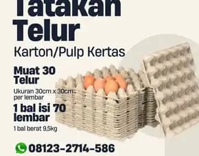 Tempat Telor Karton Isi 30 (Tray Telur) - Cepat Dan Aman Kirim Ke Kediri Lombok Barat (42)