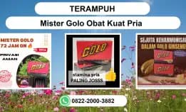 Terampuh, 0822-2000-3882 Distributor Mister Golo Obat Kuat Pria Bandung