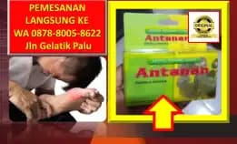 0878-8005-8622 Obat Kolesterol Jahat Paling Ampuh Di Kota Palu