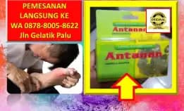 Wa: 0878-8005-8622 Obat Alami Menghilangkan Kolesterol Di Kota Palu