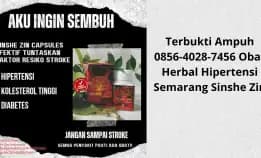 Terbukti Ampuh 0856-4028-7456 Obat Herbal Hipertensi Semarang Sinshe Zin