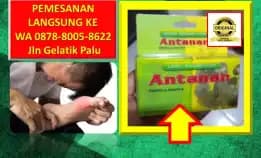 0878-8005-8622 Obat Alami Kolesterol Bagi Wanita Hamil Di Kota Palu