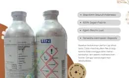 Grosir Bibit Parfum Luzi Refill Papua