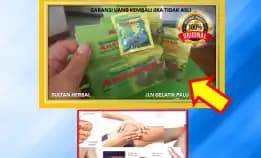 0878-8005-8622 Obat Kolesterol Dan Asam Urat Dr. Zaidul Akbar Di Kota Palu