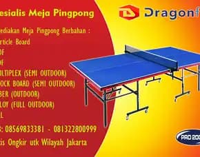 Tenis Meja Pingpong Merk Dragon Fly