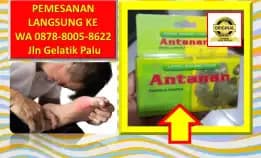 0878-8005-8622 Obat Encok Rematik Asam Urat Di Kota Palu