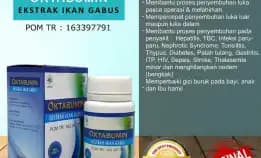 0812-1567-8455 Grosir Oktabumin Kapsul Ekstrak Ikan Gabus Di Kaltim