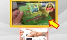 0878-8005-8622 Obat Asam Urat Alami Di Kota Palu