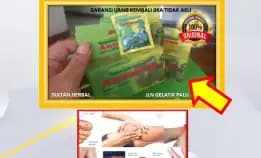 Wa: 0878-8005-8622 Obat Asam Urat Orang Tua Di Kota Palu