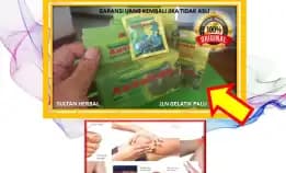 0878-8005-8622 Obat Kolesterol Generik Di Kota Palu