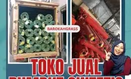 Wa 0896-5297-9519, Harga Rumput Sintetis Makassar Bantaeng Pa'Jukukang