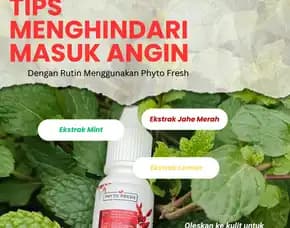 Phyto Fresh Kab Lima Puluh Kota, Minyak Wangi Terapi Tubuh