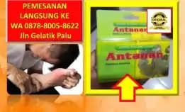 Wa: 0878-8005-8622 Obat Asam Urat Untuk Ibu Menyusui Di Kota Palu