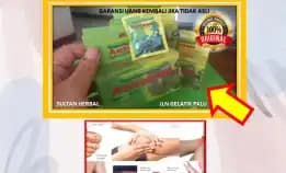 Wa: 0878-8005-8622 Obat Asam Urat Nyeri Di Kota Palu