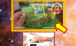 0878-8005-8622 Obat Kolesterol Yang Alami Herbal Di Kota Palu