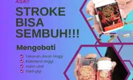 Herbal Ajaib 0856-4028-7456 Jual Obat Herbal Darah Tinggi Semarang Pt Dewa Obat