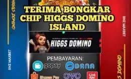 Agen Resmi Chip Hdi Terima Bongkaran