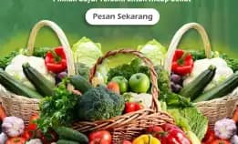 Harga Sayur Premium Di Malang: Menemukan Kualitas Dengan Harga Terbaik