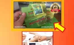 0878-8005-8622 Obat Alami Untuk Kolesterol Di Kota Palu