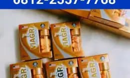 Viagra Gold Jogja 081225577768 Jual Viagra Gold Asli Usa Di Jogja