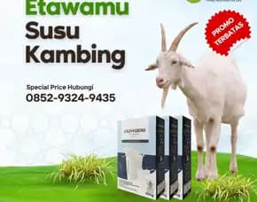 Susu Kambing Untuk Ibu Hamil Jembrana,Viral Dan Murah, Pt. Etsa Bregas Makmur