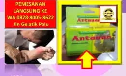 0878-8005-8622 Obat Kolesterol Baik Diminum Pagi Atau Malam Di Kota Palu