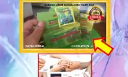 0878-8005-8622 Obat Asam Urat Jual Bebas Di Kota Palu