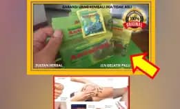 0878-8005-8622 Obat Kolesterol Alami Tradisional Di Kota Palu