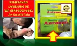 0878-8005-8622 Obat Alami Untuk Kolesterol Dan Darah Tinggi Di Kota Palu